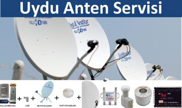 Ağlı Antenci